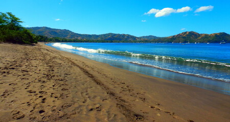 Obraz premium Costa Rica Pacific sea life