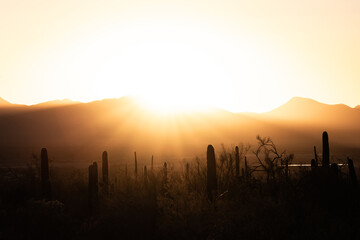 Bright Sun Sets Over Mountains and Saguaro Cactus
