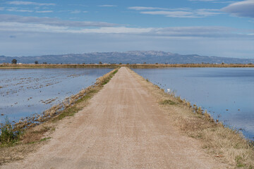 path inbetween two flooded rice fields  - Delta del Ebro, Catalonia