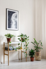 Picture frame on wall over potted houseplants and home decor