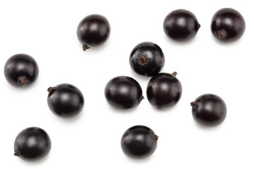 black currant isolated on white background. macro. clipping path. top view