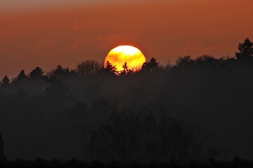 Sonnenuntergang hinter Baumwipfel
