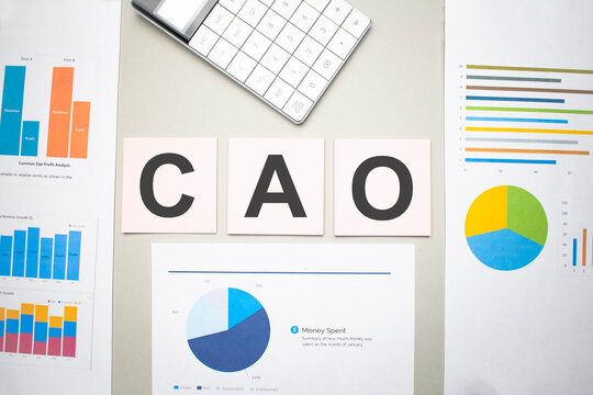 cao business, search engine optimazion,Text on the sheets of paper, charts and white calculator