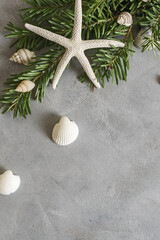 New year frame:  top view flat lay pine tree branches with seashells and starfish on grey background. Tropical christmas, holidays concept. Text space, copy space