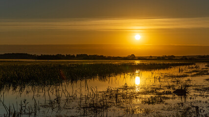 Nastrojowy wschód słońca na tle mokradeł, Biebrzański Park Narodowy