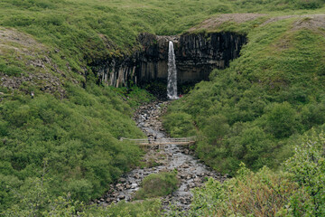 Svartifoss waterfall in the Skaftafell National Park, iceland