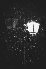 Fototapeta na wymiar Chutes de neige de nuit à la lumière du réverbère