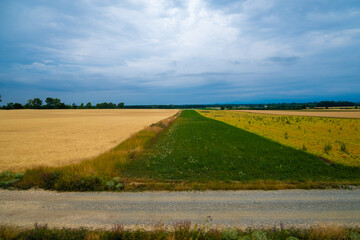 Fototapeta premium Beautiful Landscape view from the train window