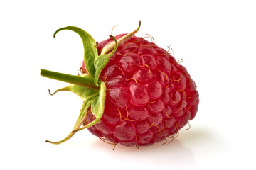 Ripe juicy raspberry with a stalk isolated on a white background © OneBit