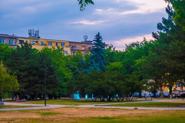 Obraz premium View of beautiful trees in a park in the city of Bratislava