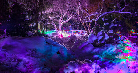 Glowing Christmas Landscape in Winter Snow
