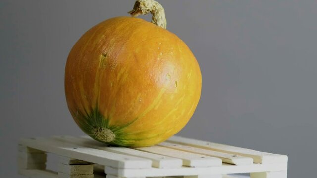 A large yellow pumpkin on top of a rotating wooden pallet