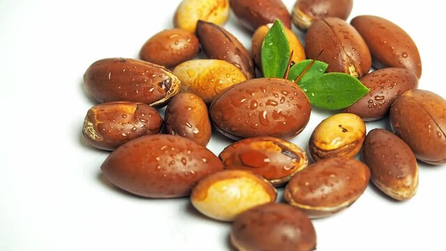 Argan nuts with green leaves motion on an isolated white background top view