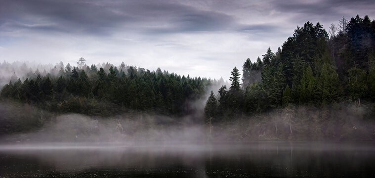 Morning mist over a lake, British Columbia, Canada
