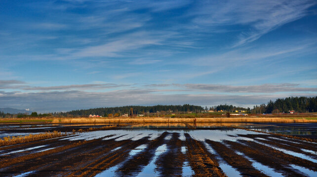 Flooded Fields, Saanich Peninsula, Vancouver Island, British Columbia, Canada