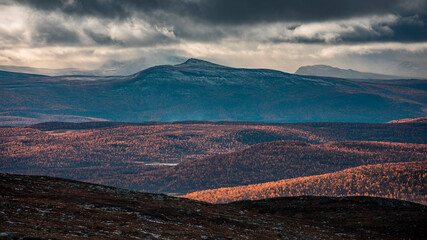 Landscape of Pieljekaise National Park in autumn with snowy mountains in Lapland in Sweden, colored plants, dramatic light and clouds in sky.