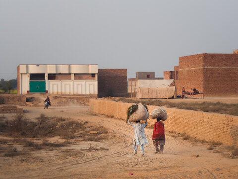 Farmers Carry Crops In A Village In Punjab, Pakistan