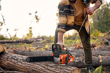 Cropped lumberjack turn on sawing machine for cutting wood. Man cutting wood with saw, dust and...
