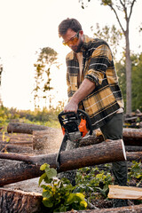 Obraz premium Young Lumberman in protective goggles sawing with chainsaw tree trunk in summer forest. Concept of a professional logging. Bearded lumberjack. Brutal bearded lumberjack in casual plaid shirt