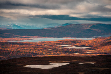 Landscape of Pieljekaise National Park in autumn with lakes and snowy mountains in Lapland in Sweden, colored plants, dramatic light and clouds in sky.
