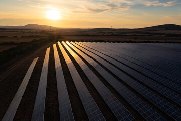Solar panel farm under sunset sky reflecting light.