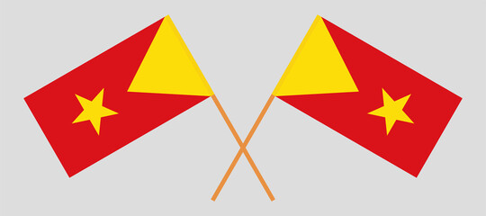 Crossed flags of Tigray. Official colors. Correct proportion