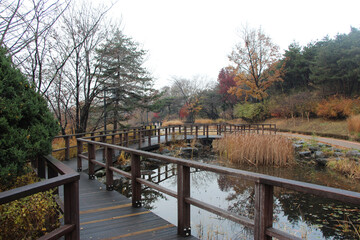 Exploring Namsan Park in the middle of Seoul in the Autumn