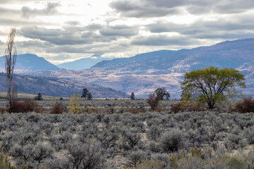 The Okanagan Valley in autumn on a cloudy day in British Columbia, Canada