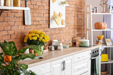 Pot with beautiful Chrysanthemum flowers on counter in kitchen