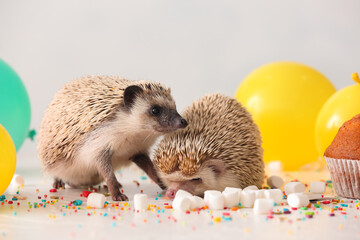 Cute hedgehogs with marshmallows on light background