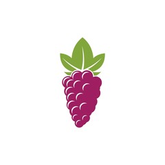 Grape with leaf logo