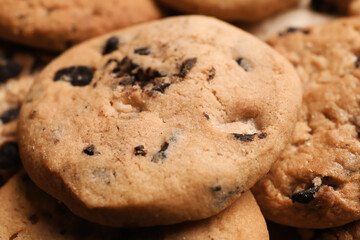 Tasty homemade cookies with chocolate chips, closeup