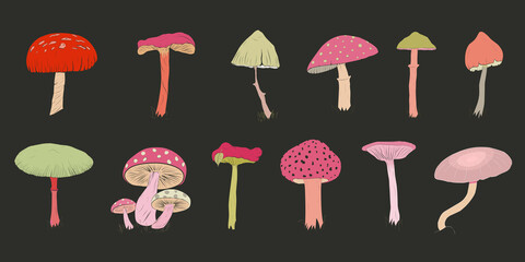 A set of various mushrooms drawn by hand. Mushrooms in a linear style. Vector eps illustration.