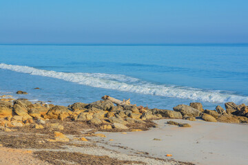 Fototapeta na wymiar The rocky Atlantic Coast, at Marineland Beach in Marineland, Flagler County, Florida