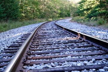 Fototapeta premium railroad tracks in the forest
