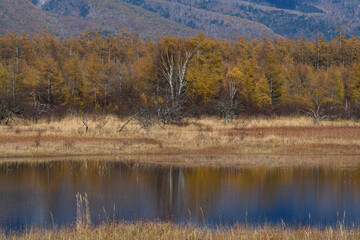 秋の小田代ヶ原