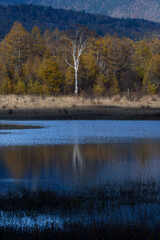 秋の小田代ヶ原 