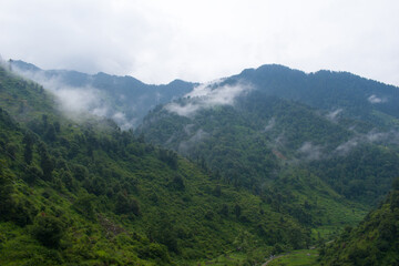 Fototapeta na wymiar Beautiful green mountain and fog in monsoon rainy season in himachal pradesh, India
