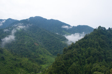 Beautiful green mountain and fog in monsoon rainy season in himachal pradesh, India