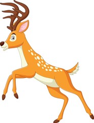 Cartoon funny deer posing on white background