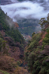 Autumn season misty wether mountain. Beautiful background. Misty mountain forest landscape in the morning in Japan
