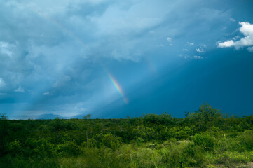 Naklejka na ściany i meble Rainbow dramatic stormy sky in blue and green colors