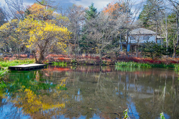 Fototapeta na wymiar autumn leaves of Karuizawa Cloud Field Pond, Japan