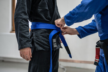 BJJ brazilian jui jutsu belt promotion close up on hands of unknown instructor black belt professor tie up blue belt on waist of his student - obrazy, fototapety, plakaty