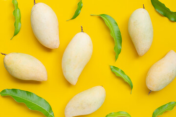 Tropical fruit, Mango on yellow background. Top view