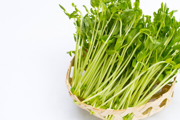 Pea Sprouts on white background.