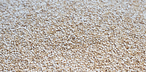 Close up of organic quinoa