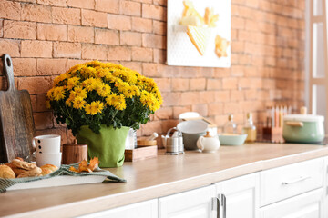 Pot with beautiful Chrysanthemum flowers on counter in kitchen