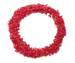 Frame made of dried barberry on white background