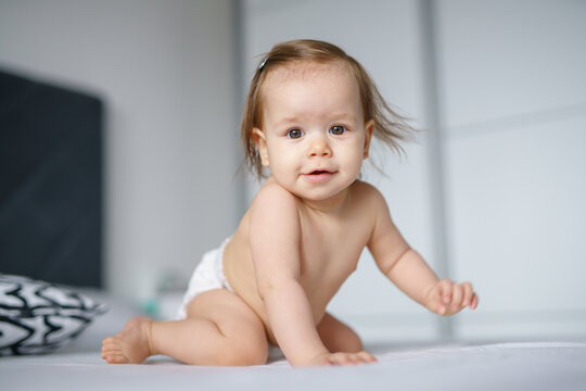 Front view of one small caucasian baby seven months old sitting and crawling on the bed at home in bright room naked wearing diapers looking to the camera happy